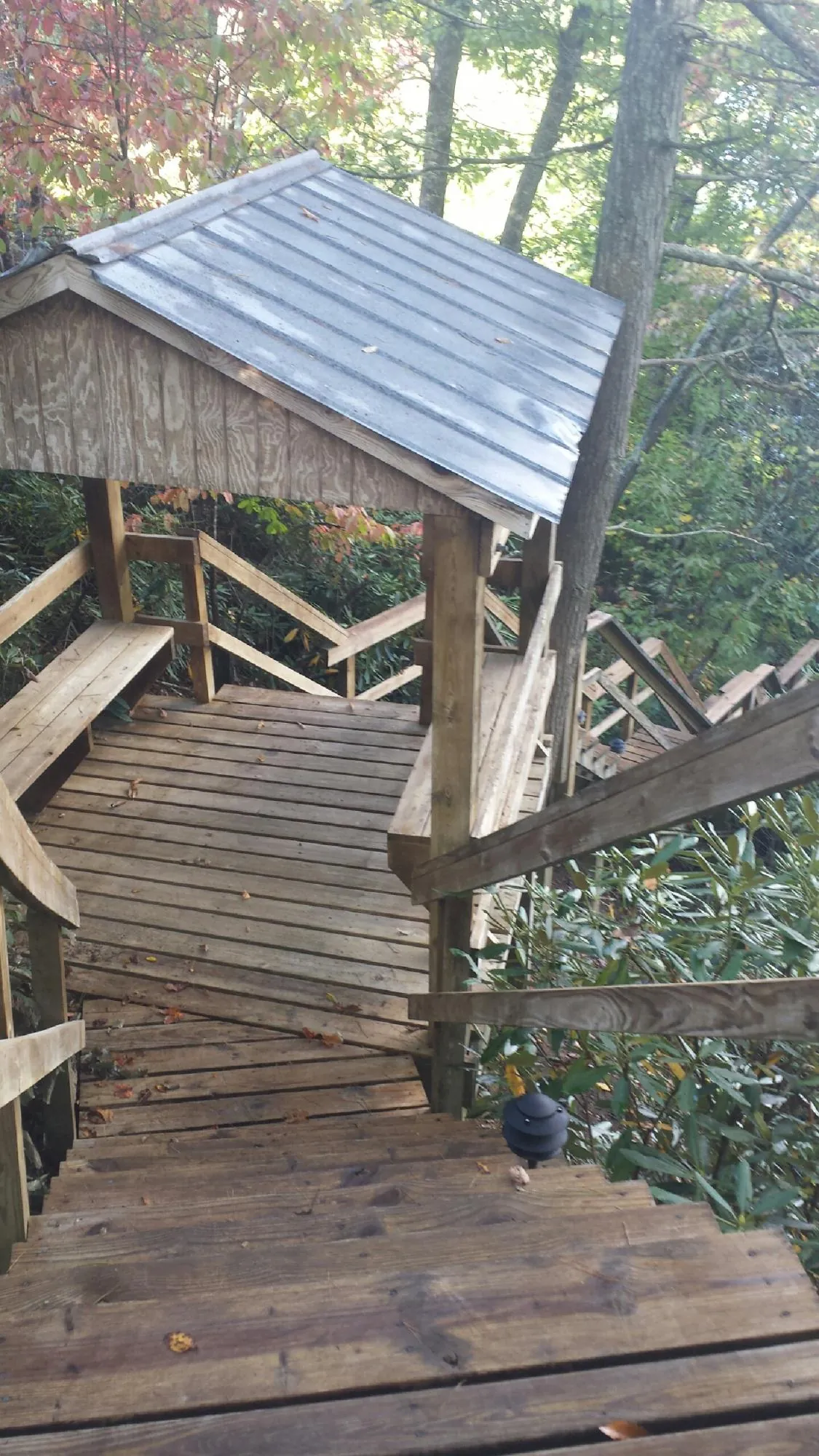 Metal roofed shelter over wooden steps on a wooded walkway — Skylight Repair & Installation work by our crew in Rio Linda