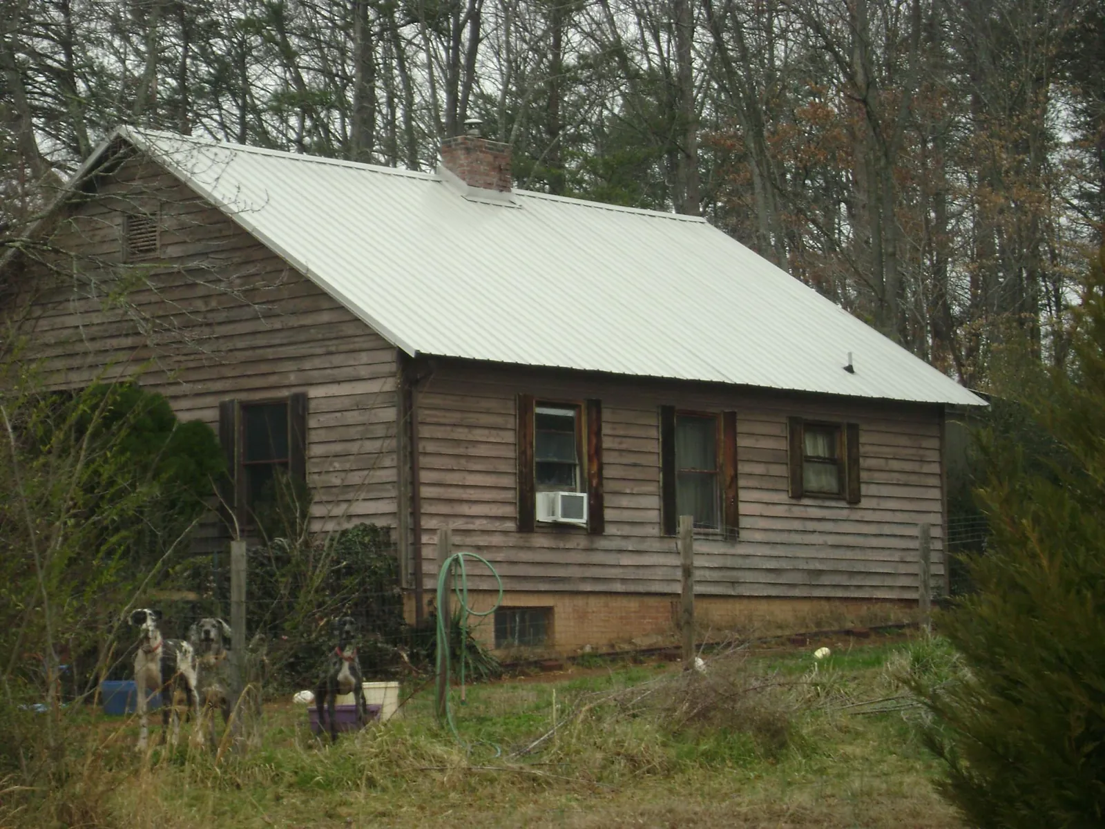 White metal roof on an old wood sided farmhouse, from a Asphalt Shingle Roof Repair job in Rio Linda